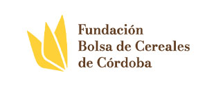 Fundación bcgba